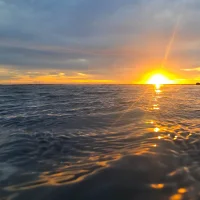 TWDDLinsYYDKnight – Avatar fotka