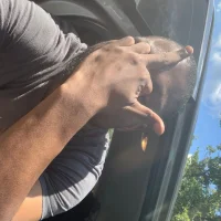 FatherBerg's Profile Pic