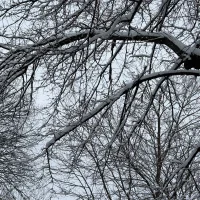 Rock-Hardy: изображение аватарки