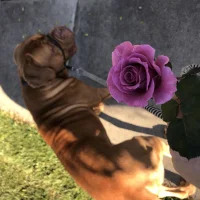 BobNastty's Avatar Photo