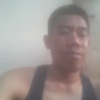 noval8225