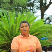 wandeme001