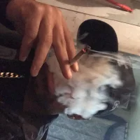 รูปโปรไฟล์ของ fellipe4real