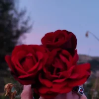 Slika avatara modela Miko46_