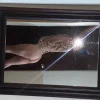 Sex Photo of DULCE-LEONA