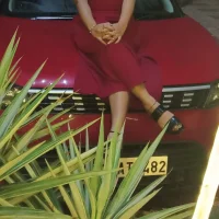 sunny-nikkのアバター写真