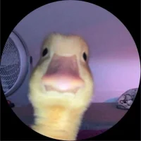 Ikzeghetje67 – avatarbillede