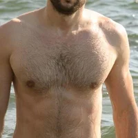 Модель italian-job-40