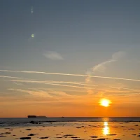 XthemaskX's Profile Pic
