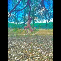 Foto do perfil de EtherealLuna7777