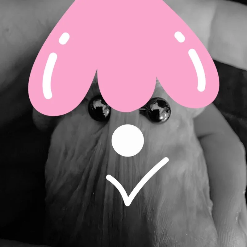 ACruoreX profile photo