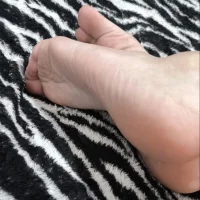 รูปอวาตา  ร์ของ aesmeraldinha