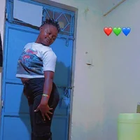Zia_vier