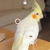 BIGCOCKLOVESTOCUM's Profile Pic