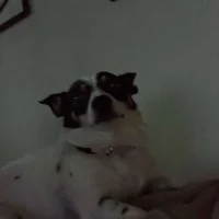 William423n Avatar kuva