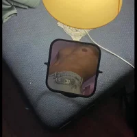 Berks31 webcam