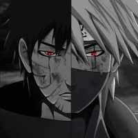 Darkfrox's Profile Pic