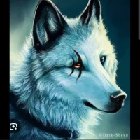 lonewolf-alphamale_2526 頭像圖片