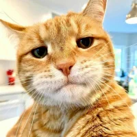 cludy256's Profile Pic