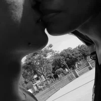 StefAless profilbillede