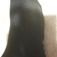 jejehgff