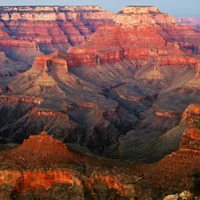 jwcorn Immagine Avatar