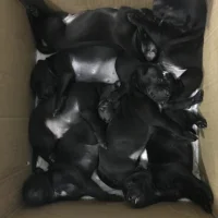 Ảnh Đại Diện kivin660108