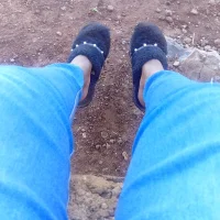 Omphilesoa Avatarbild