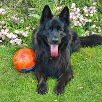 Avatar obrázek dexter19581958