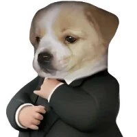 cocolinouのアバター写真