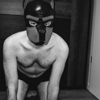 תמונת פרופיל של theanimal666