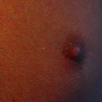 Sokrates3 webcam