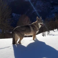 skinotiker1's Avatar Pic