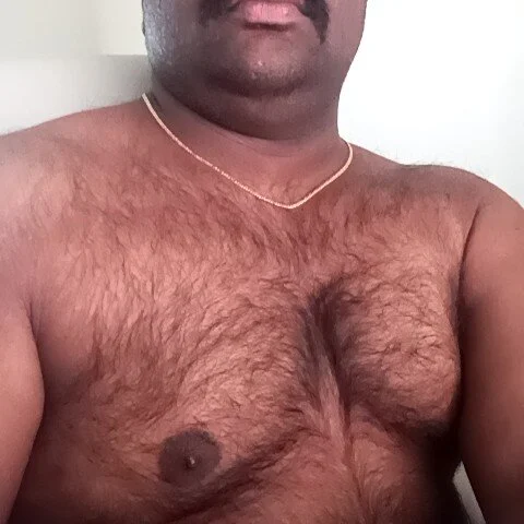 indianbearbot profile photo