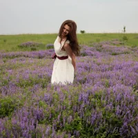 Gambar Profil DonnaDixon