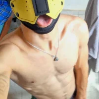 pup_tone 头像图片