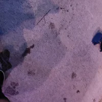 sd1714's Profile Pic