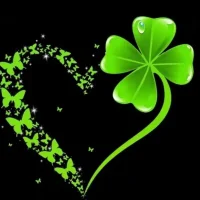 Buom-Buom-Cua-Anh avatarbilde