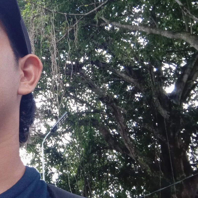 Pisarico11 profile photo