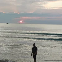 viki_bosss profilbillede