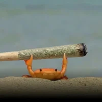 LOVEuELENAn Avatar kuva