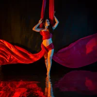 CristalGold 头像图片