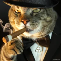 Phoenix_Memory avatarképe