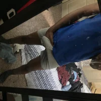 صورة الملف الشخصي لـ bigDscorpion