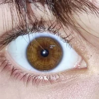 Gordinho_dos_pes 頭像圖片