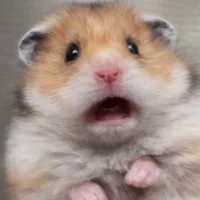 Trululu_De_Sammi's Avatar Pic