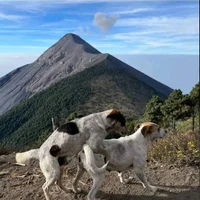 صورة أفاتار embarazador3000