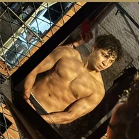 Belami_Falcon