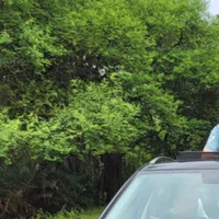 itachigunn Avatarfoto