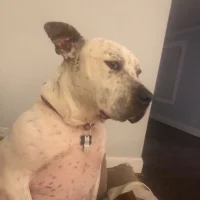 Edmond_Dantes74's Avatar Pic